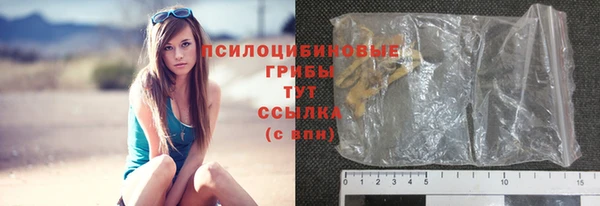 крисы Белоозёрский