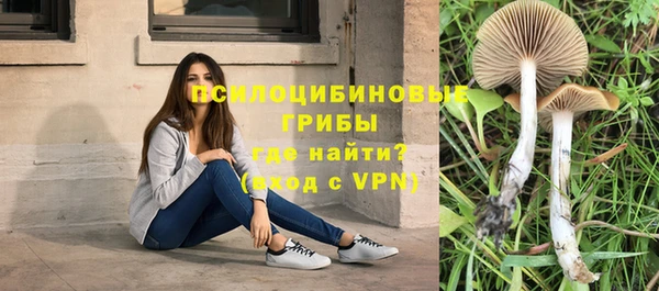 бутират Белокуриха