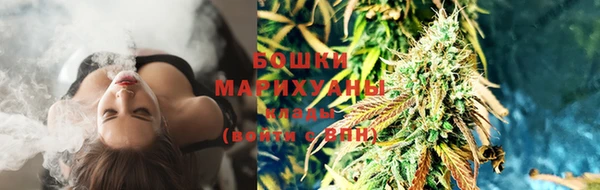 бутират Белокуриха
